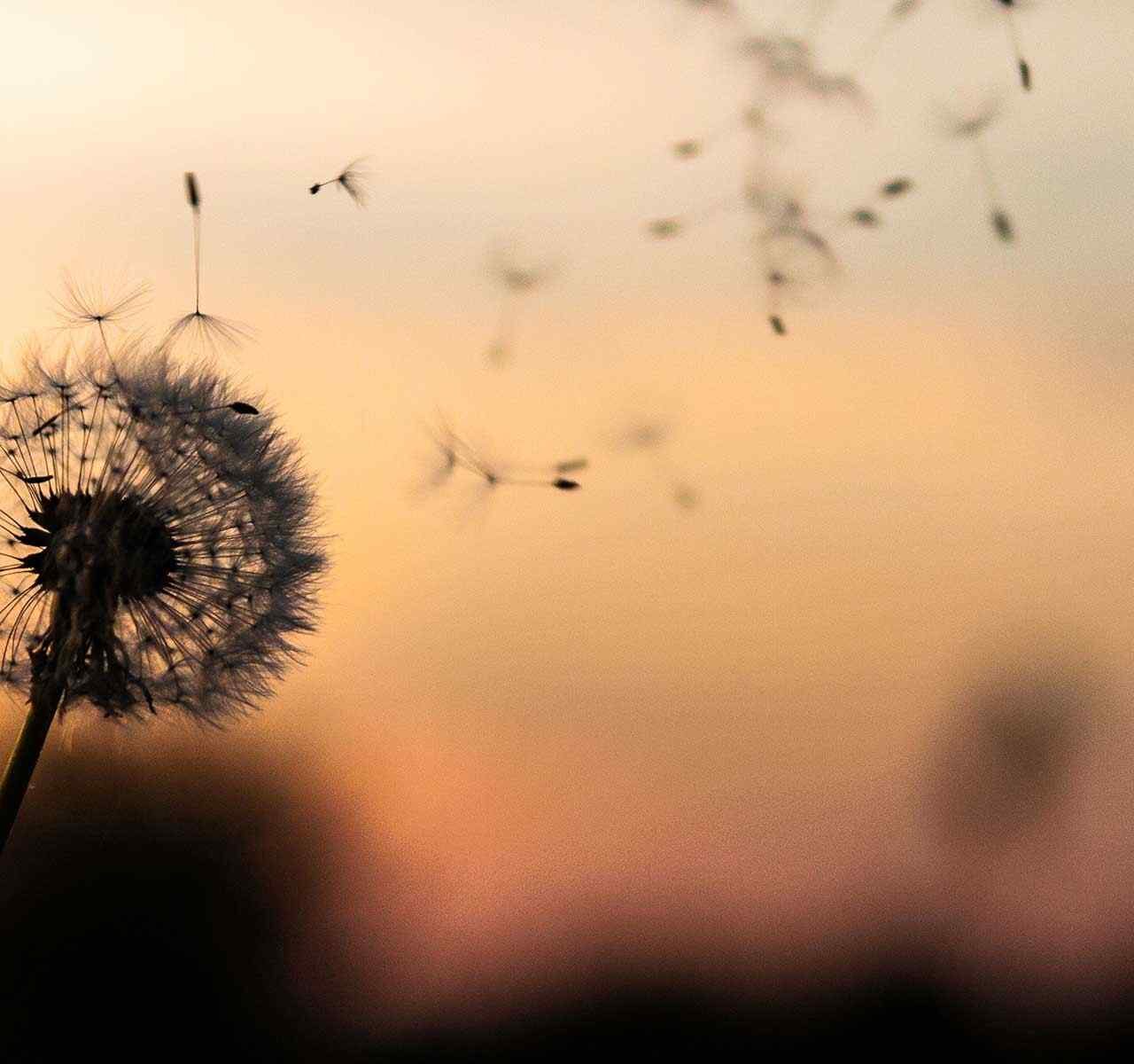https://idfinance.ch/wp-content/uploads/2018/09/post_02-1280x1200.jpg